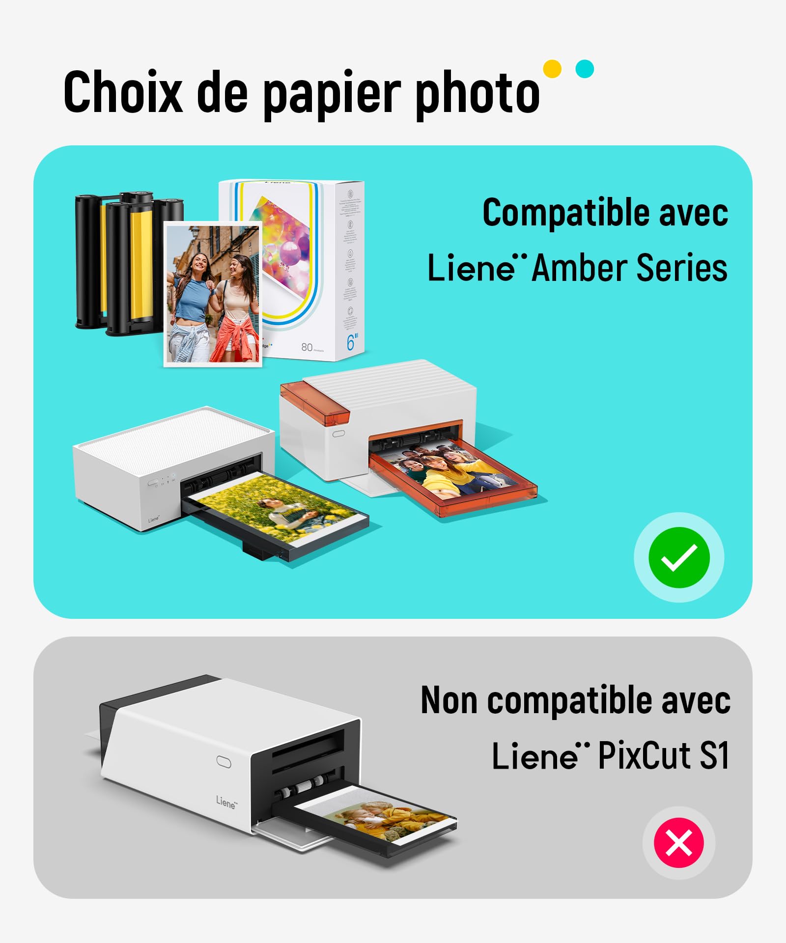Liene Amber M100 M200 M110 M210 Consommables Originaux 80 Feuilles 10x15 cm 2 Cartouches Sublimation Thermique Étanche Anti-Oxydation
