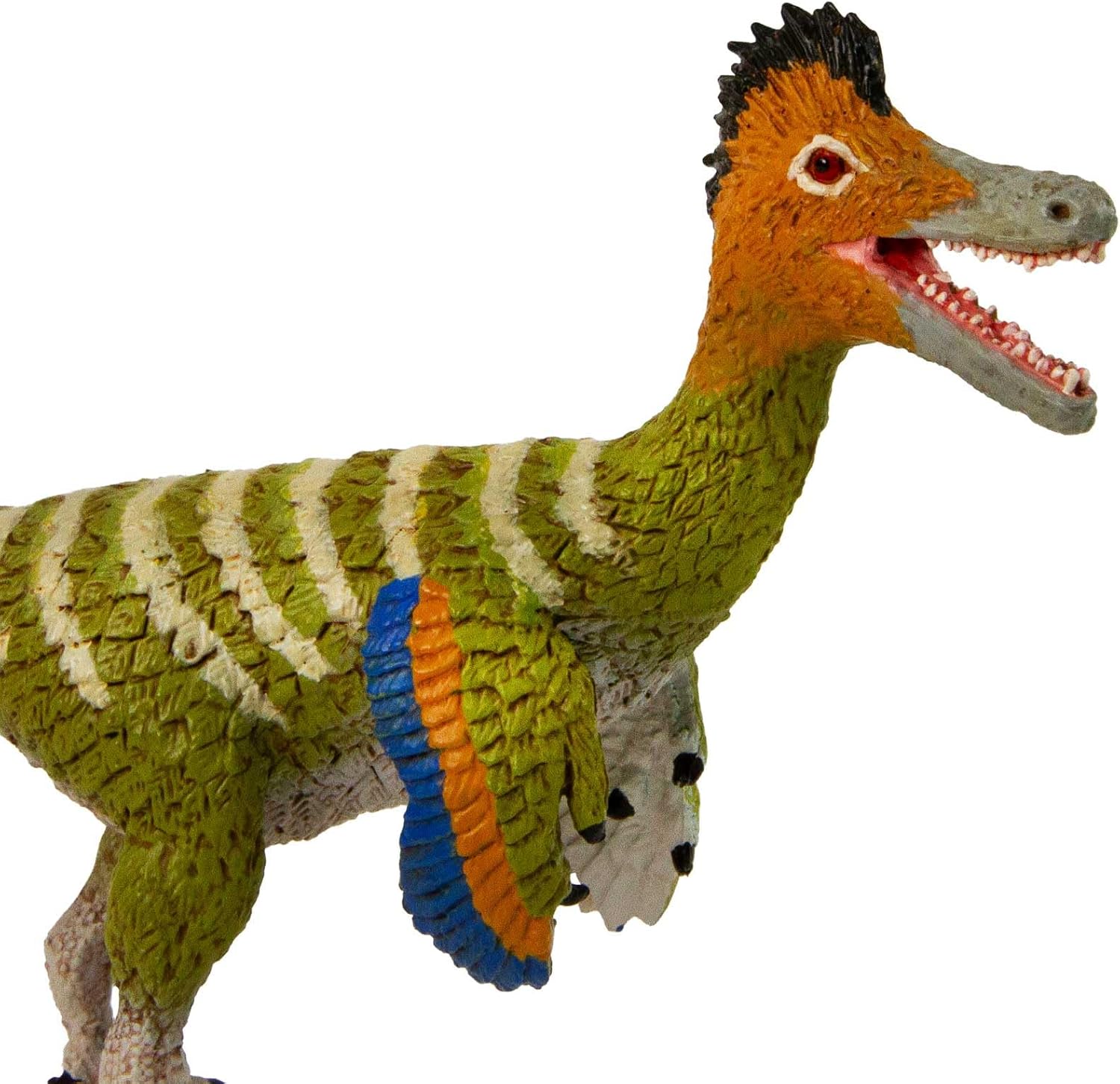 Safari Ltd. Austroraptor Figure - Detailed 9" Dinosaur Model - Educational Toy for Boys, Girls, and Kids Ages 3+ - Image 5