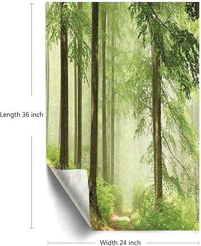 Miniatura 4 de Película de privacidad para ventana de paisaje, foto de bosque brumoso después de la lluvia en el sol, senderismo, camino, aire libre, ventana