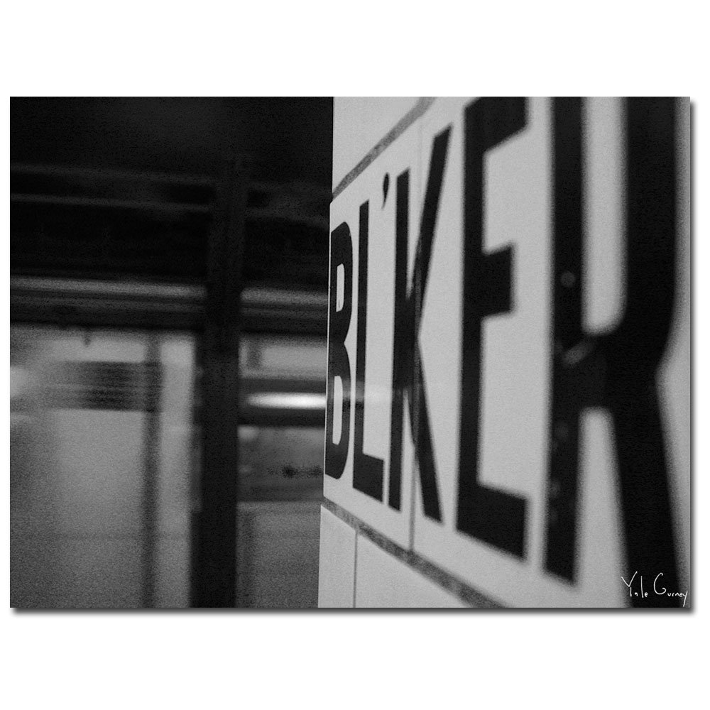 Trademark Fine Art Bleeker by Yale Gurney Canvas Wall Art, 24x32-Inch