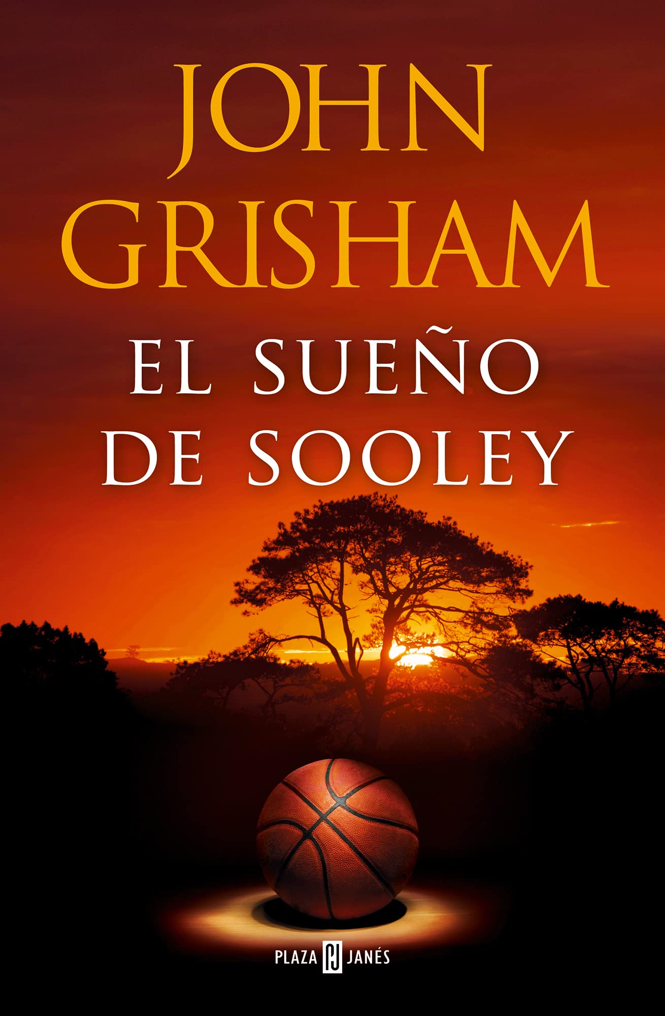 El sueño de Sooley (Spanish Edition)
