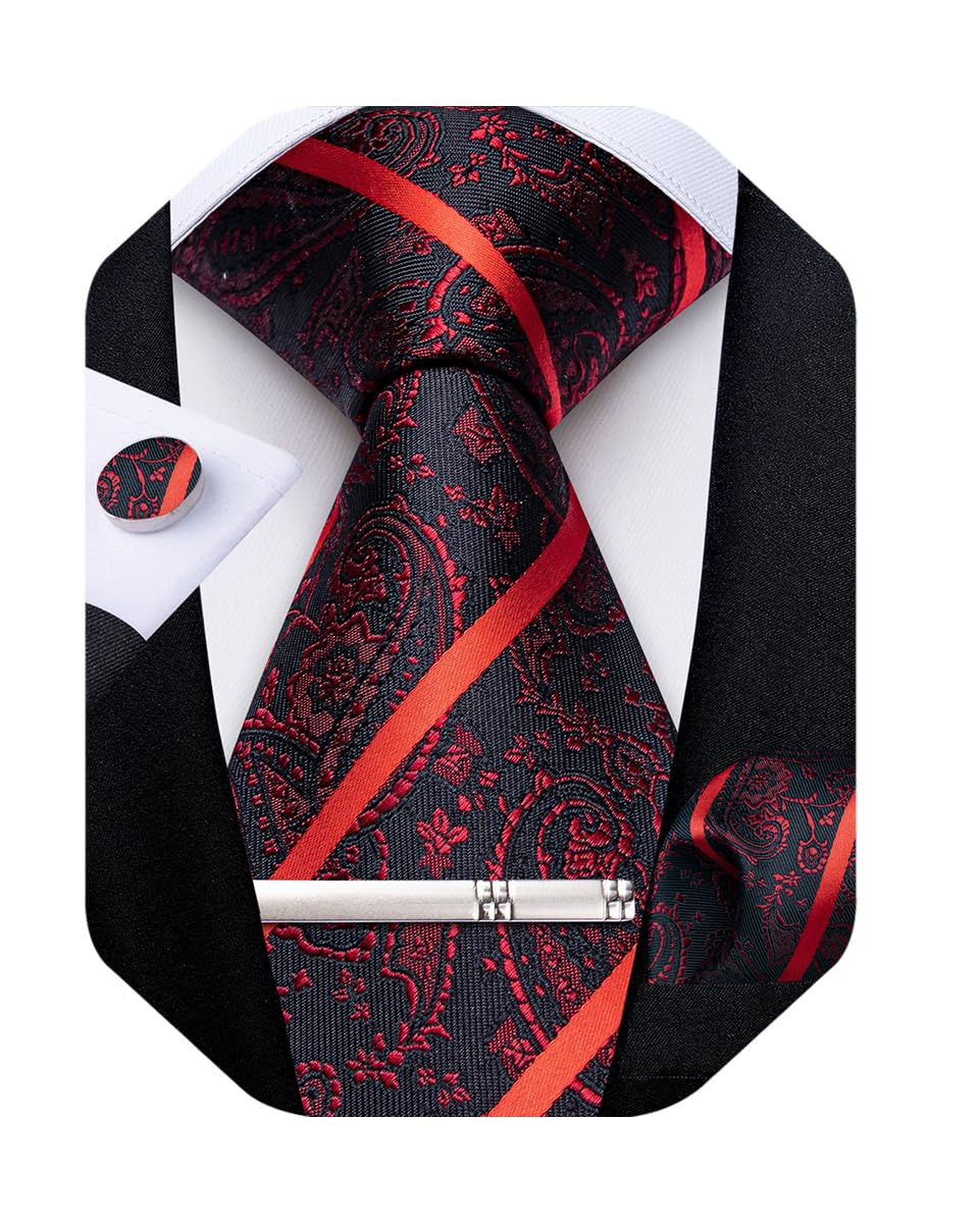 DiBanGu Silk Floral Ties for Men Woven Paisley Necktie