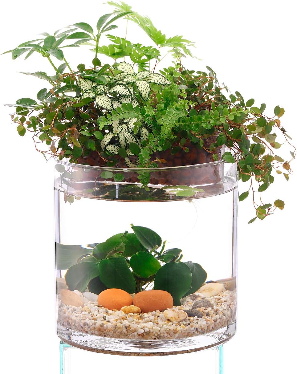 Amazon アクアテリア P150s ベタ用 ガラス水槽と水耕栽培プランター 水槽おそうじ手袋セット Aquaterior アクアテリア みずものコム 飼育セット 通販