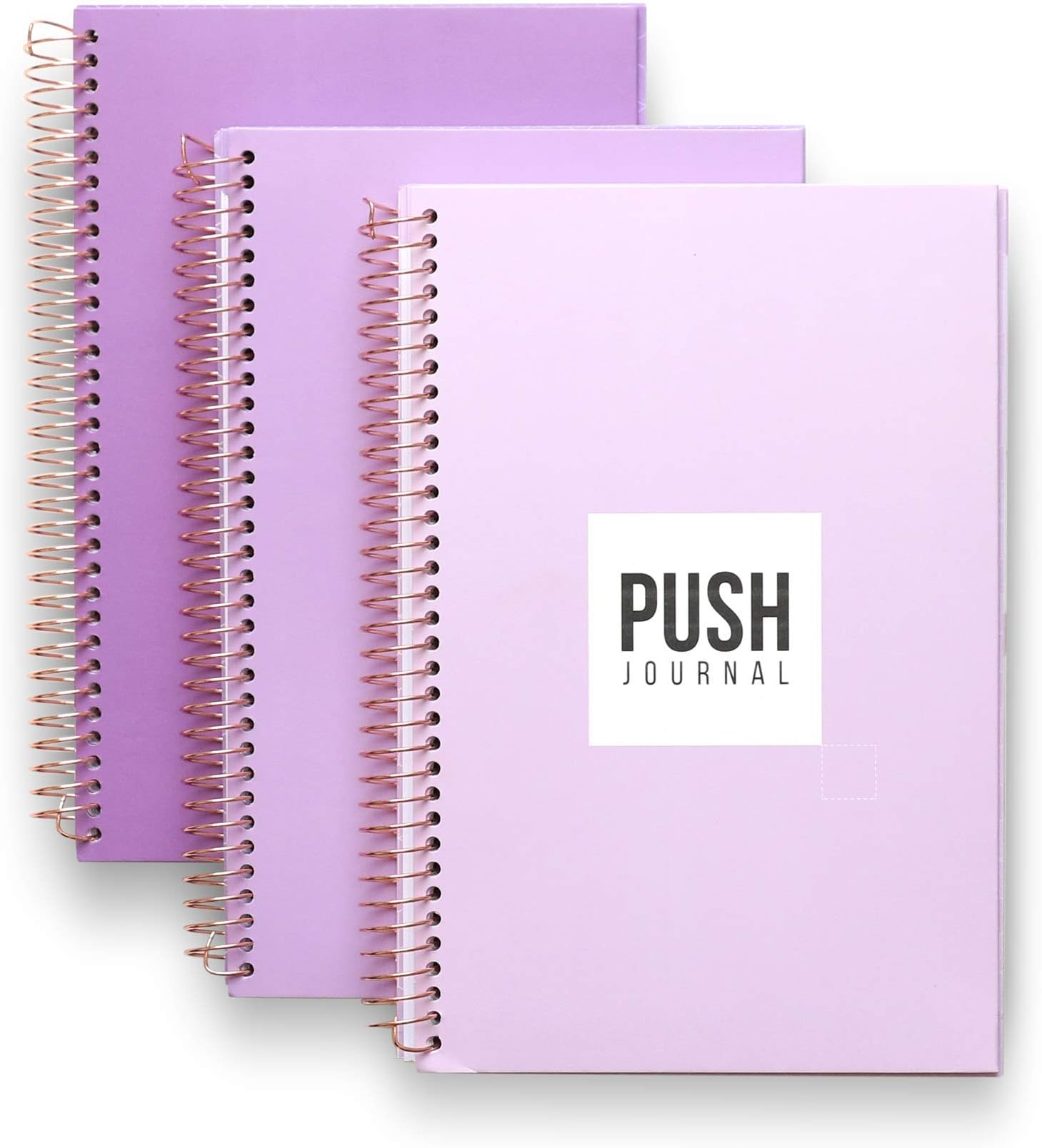 PUSH Journal (Lady Boss Lavender)
