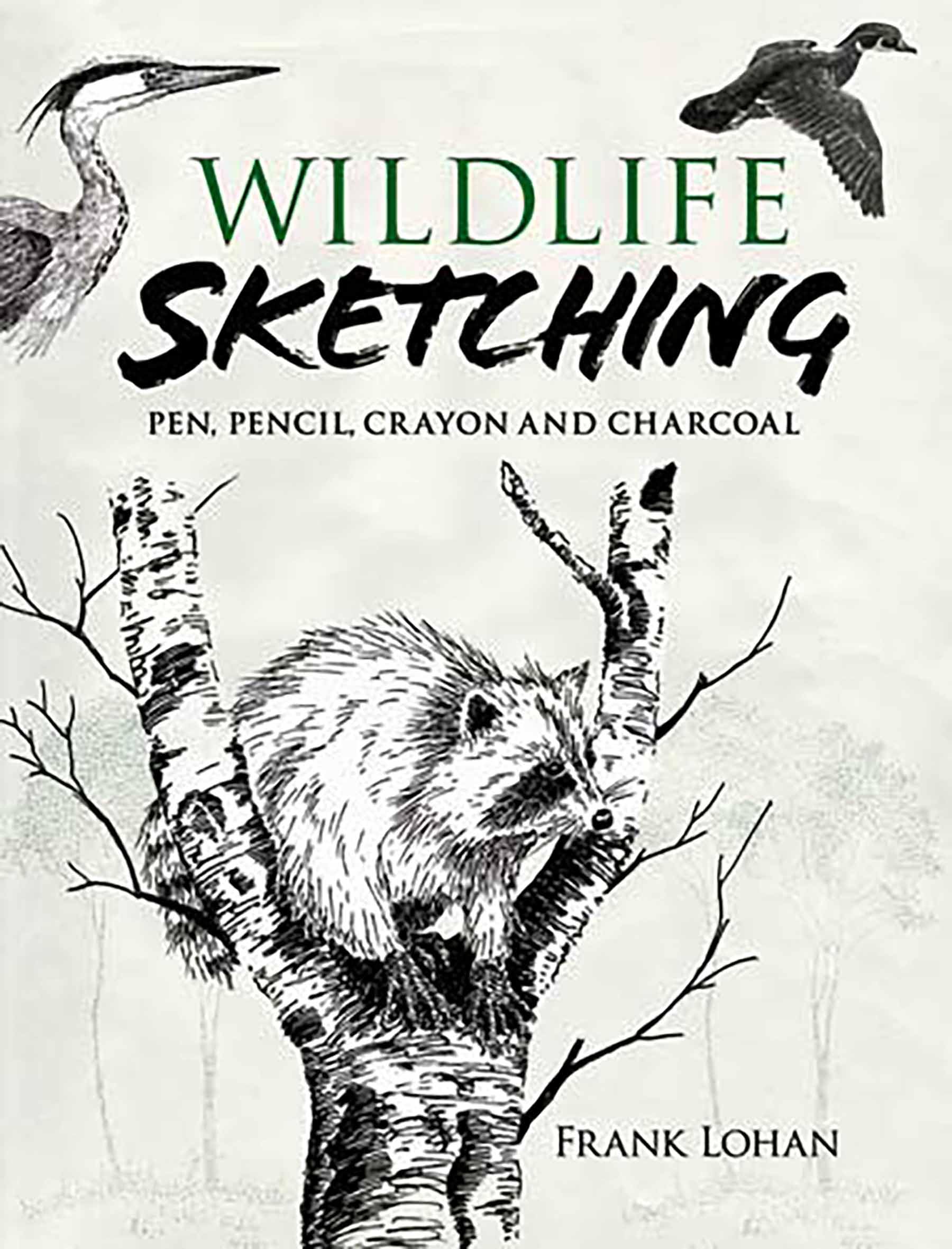 Wildlife Sketching: Pen, Pencil, Crayon and Charcoal (Dover Art Instruction)