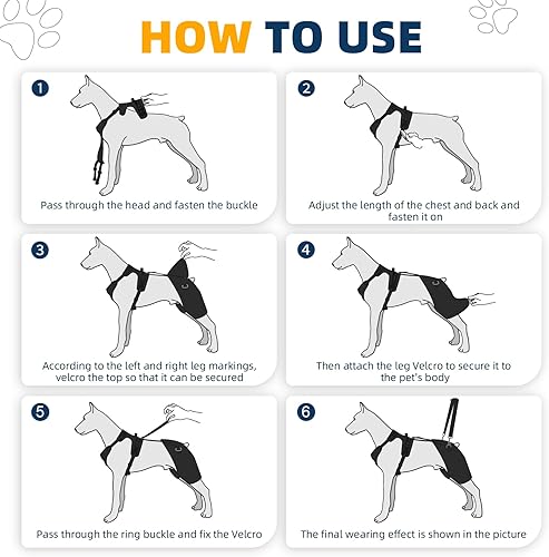 Miniatura 6 de CHAMIN Soporte de cadera para perro con diseño de mano en la espalda, soporte para displasia de cadera, artritis, cojera de pierna trasera, reduce