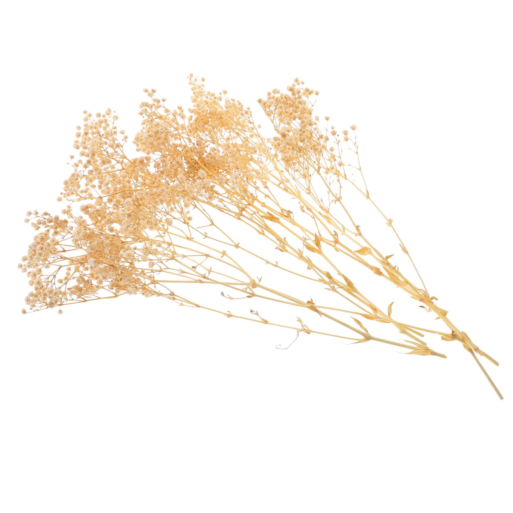 MAGICLULU 4Pcs 1 Gypsophile Fleur Éternelle Bouquet De Fleurs Séchées Décoration De Mariage Fête De Jardin Décoration De La Maison Bouquet 44Cm 40G Un Bouquet Arrangements De Fleurs