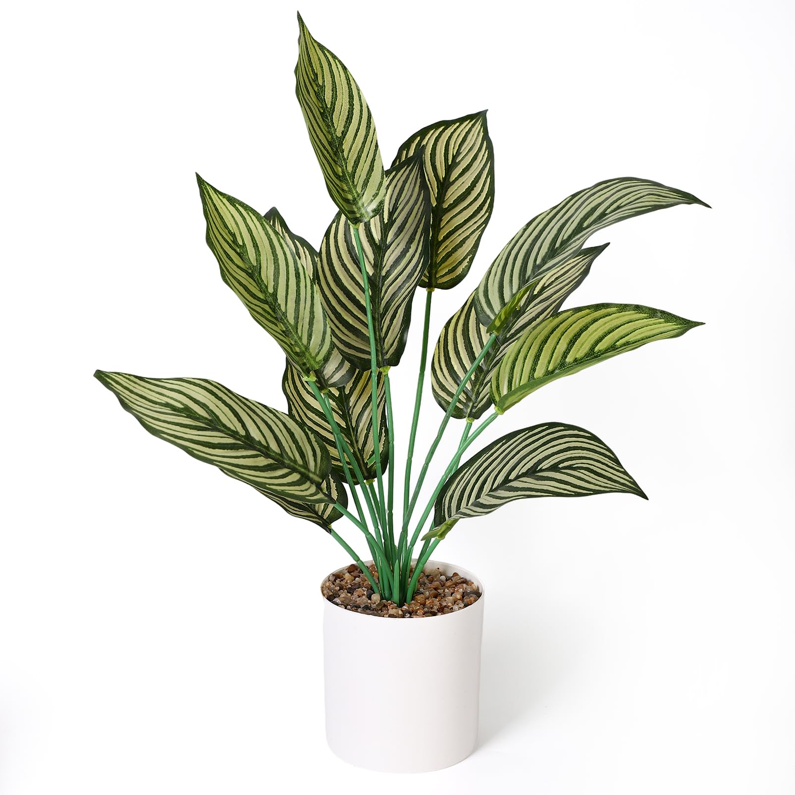 Veektac Small Artificial Plants Indoor, 16β Tall Fake Plants Green in Pot Faux Tropical Plant for Home Bedroom Living Room Table Shelf Office Decor (Calathea)