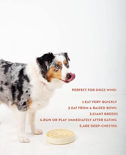 Miniatura 4 de Tazones de alimentación lenta para perros de raza grande a pequeña con espátula - Tazón de silicona sin golpe para perros - Comedero para perros con
