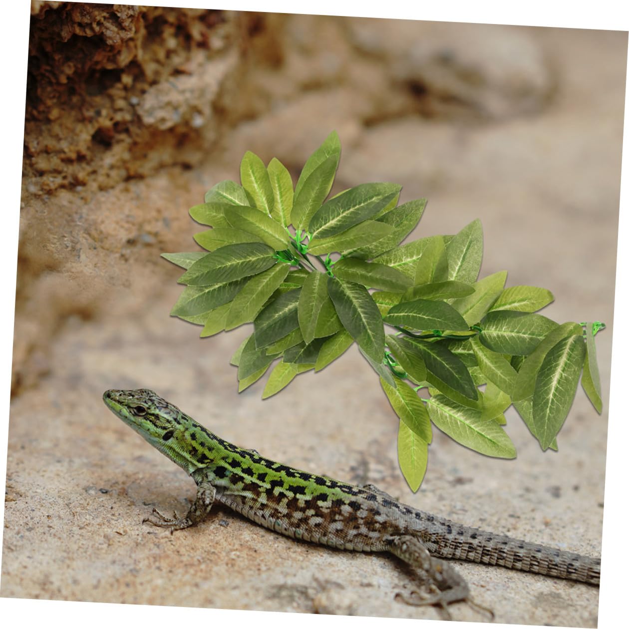 Plantas para Reptiles para Terrarios 6 Piezas Enredaderas Artificiales Colgantes de Plástico Decoración para Jaulas de Reptiles Accesorios para Terrarios sin Mantenimiento