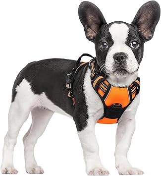 rabbitgoo Dog Harness No Pull with 2 Leash Clips, Adjustable Soft Padded, Reflective Oxford No Choke Pet Vest with Easy Contr
