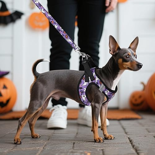 Miniatura 108 de KOOLTAIL Juego de arnés y correa para perros pequeños y medianos, arnés de malla suave sin tirones para perro, cómodo chaleco acolchado