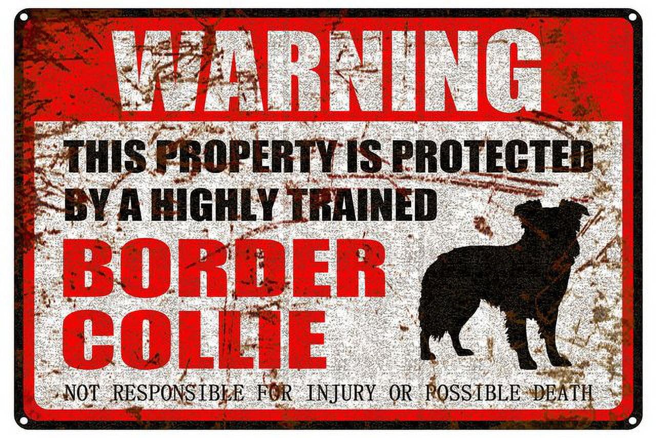 peiyeety Border Collie Warning Aluminum Metal Sign Pet Gift,This Property is Protected by Highly Trained Sign 12x16 Inches