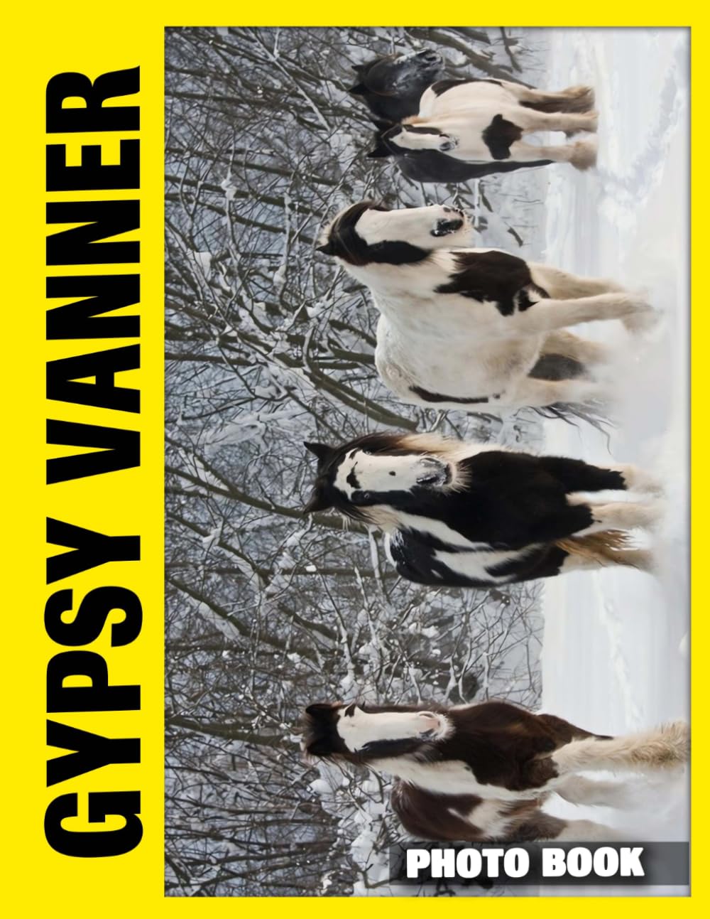 Gypsy Vanner Photo Book: Magnificent Stallions Displayed In Stunning Photography With Flowing Manes And Majestic Gypsy Vanner Horses Amid Scenic Countryside Views