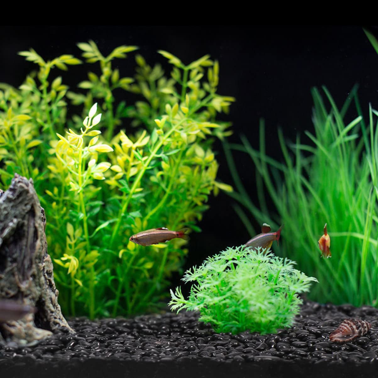 POPETPOP Aquarienkies Poliert Aquarium Glas Kies, Körnung 3-6 mm, 2kg