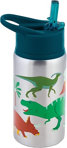 Stephen Joseph Botellas de agua de acero inoxidable, 18 onzas, tapa con popote, vaso reutilizable, aislado, DINO