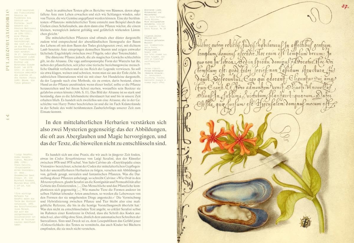 Herbarien: Pflanzensammlungen, botanische Fiktionen und Florilegien – Kunst, Design und botanische Illustration