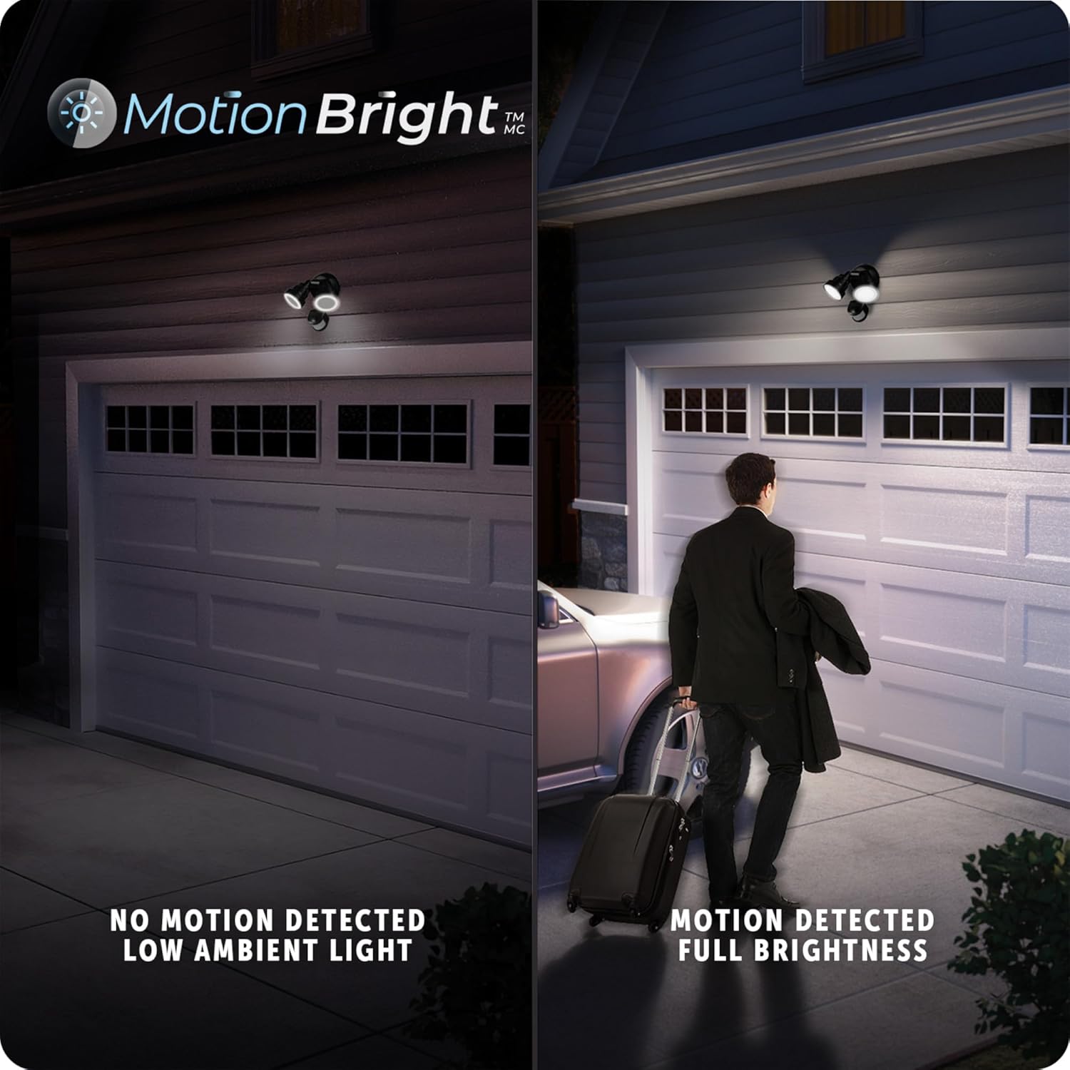 Motion Activated Detection Zone