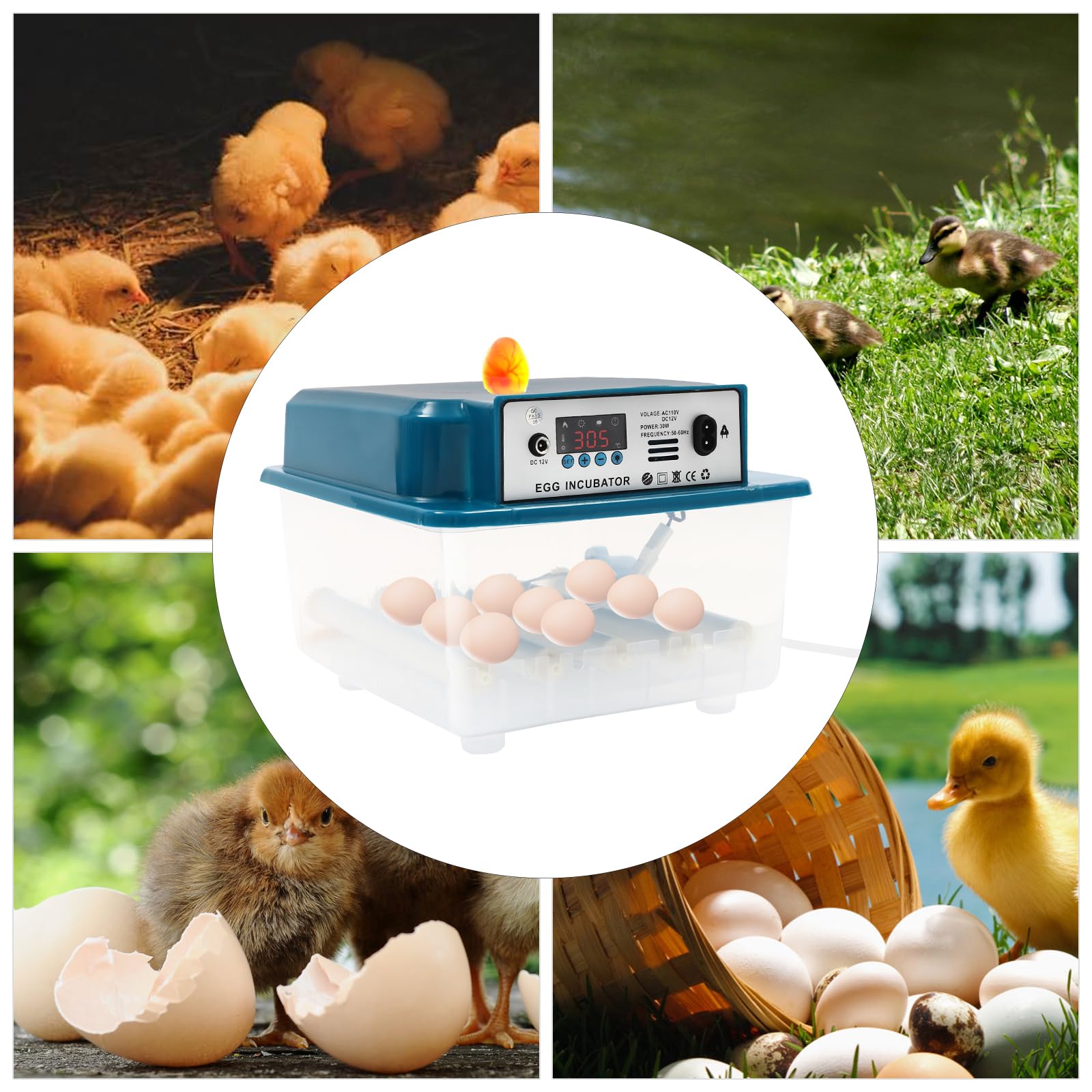 Incovatrice automatica 16 uova, temperatura controllo & automatico Egg Turner per varie uova, incubatrice polli, fagiani