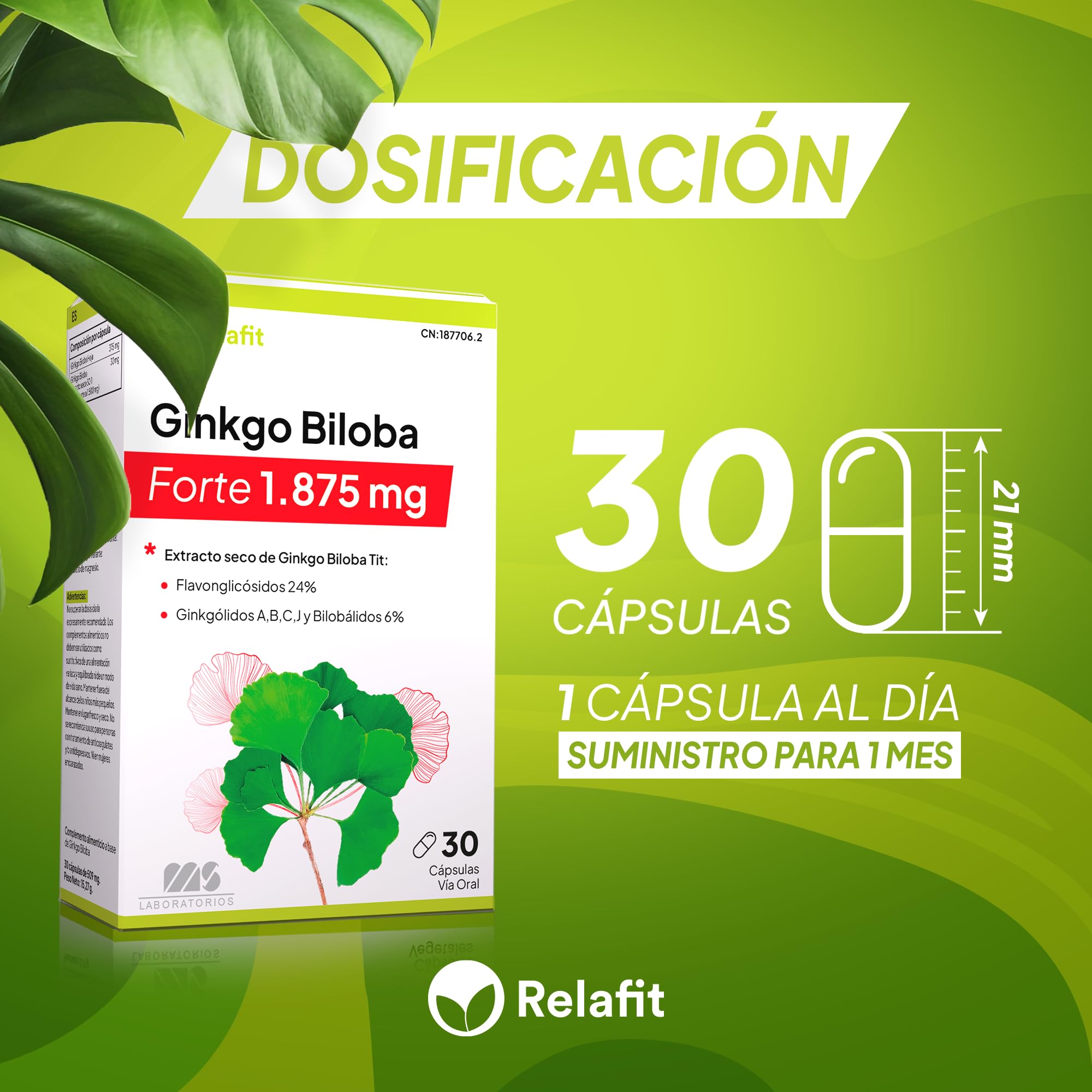 Ginkgo Biloba Forte 1.850 mg - 30 Cápsulas | Potente antioxidante | Refuerza la memoria y concentración | Nootropico | Ayuda a la circulación | Suministro para 1 mes | Relafit - Laboratorios MS