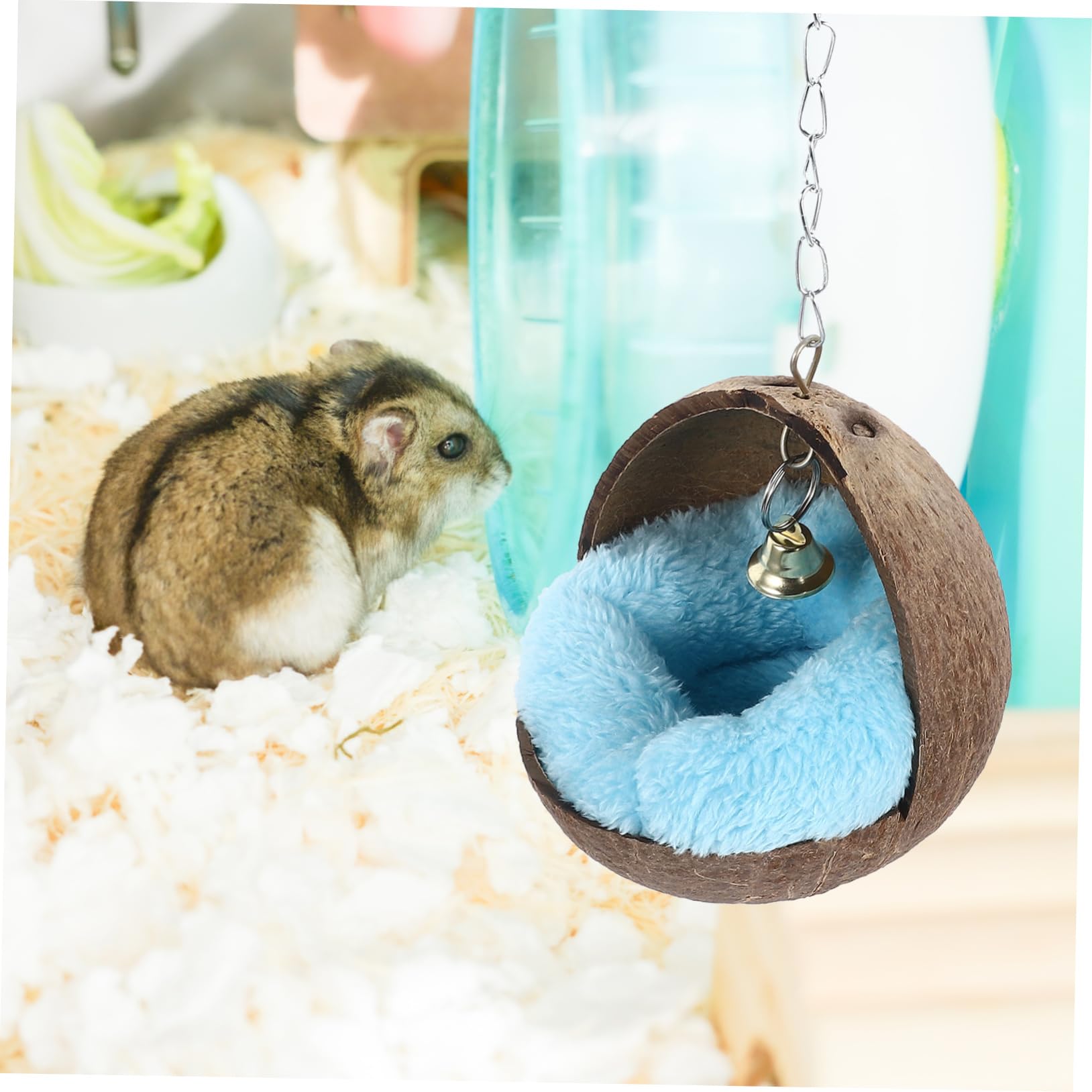 Kisangel 2stücke Coconut Shell Sleeping Bed Für Hamster Meerschweinchen Und Ähnliche Kleintiere Gemütliches Nestkissen Zufälliger Farbe Aus Langlebigem Kokosnussmaterial Gefertigt Zum