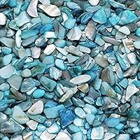 Vista 10 de BeachWalk Pequeñas conchas naturales trituradas, para bodas, relleno de jarrón, decoración del hogar y manualidades (32 onzas (2 libras), perla