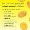 Rescue Remedy Pastilles | Orange & Elderflower Flavoured | Daily Support for Stressful Moments | Bach Original Flower Essences | Chewable Pastilles | 50g Travel Tin