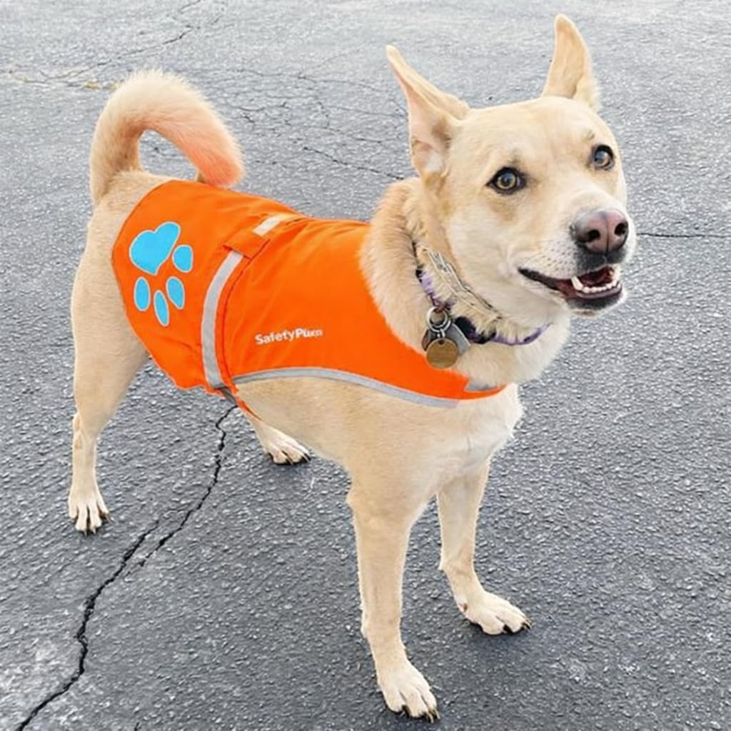 SafetyPUP XD Hund Warnweste.Größen für Hunde 7 kg - 59 kg. Orange X-Klein
