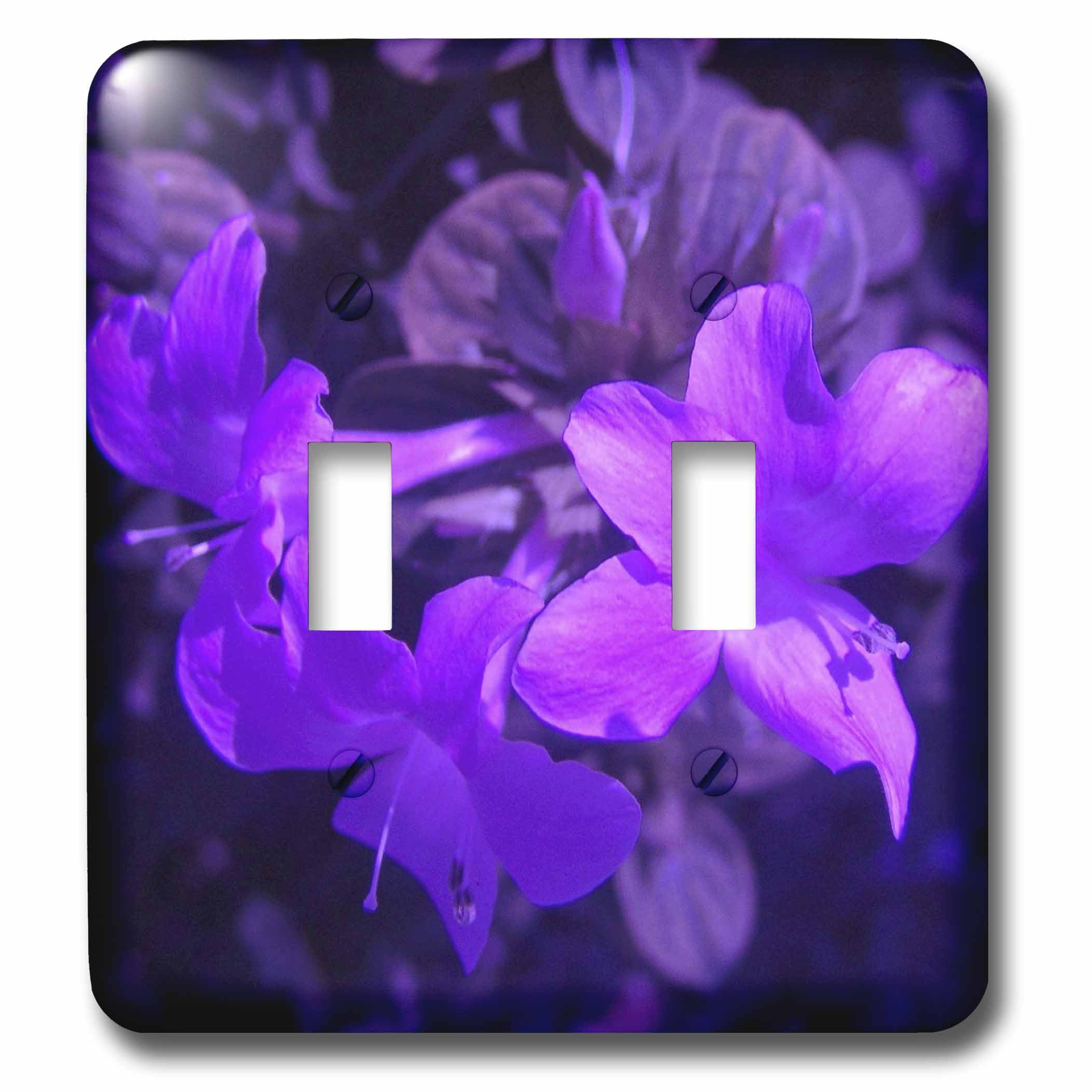 Interrupteur à bascule violet pop 3dRose LSP_7498_2 pour décoration murale de maison