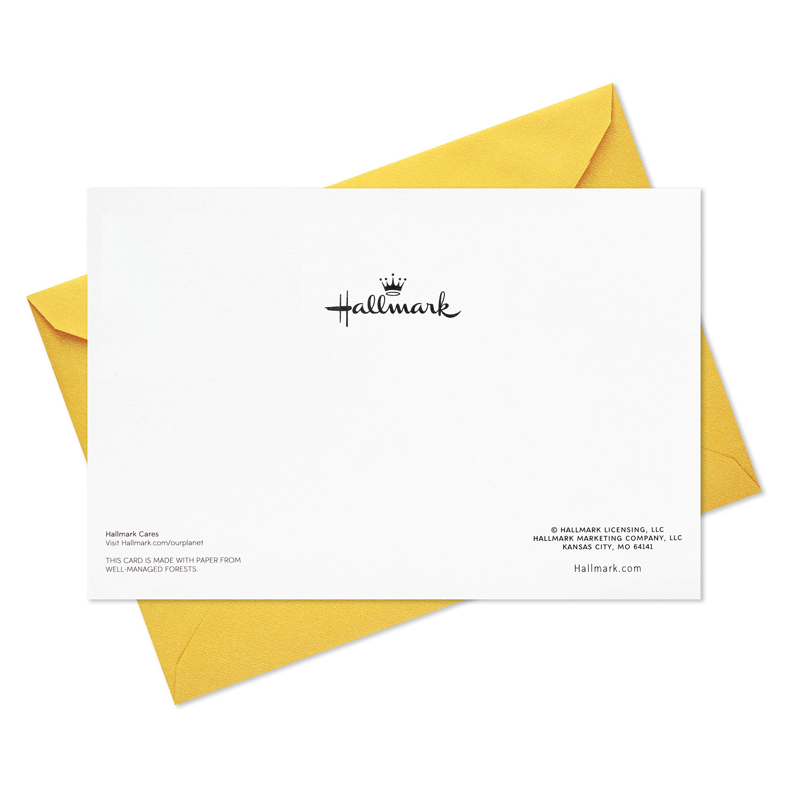 Snapklik.com : Hallmark Pack Of Easter Cards, Happiness And Joy (10 Cards