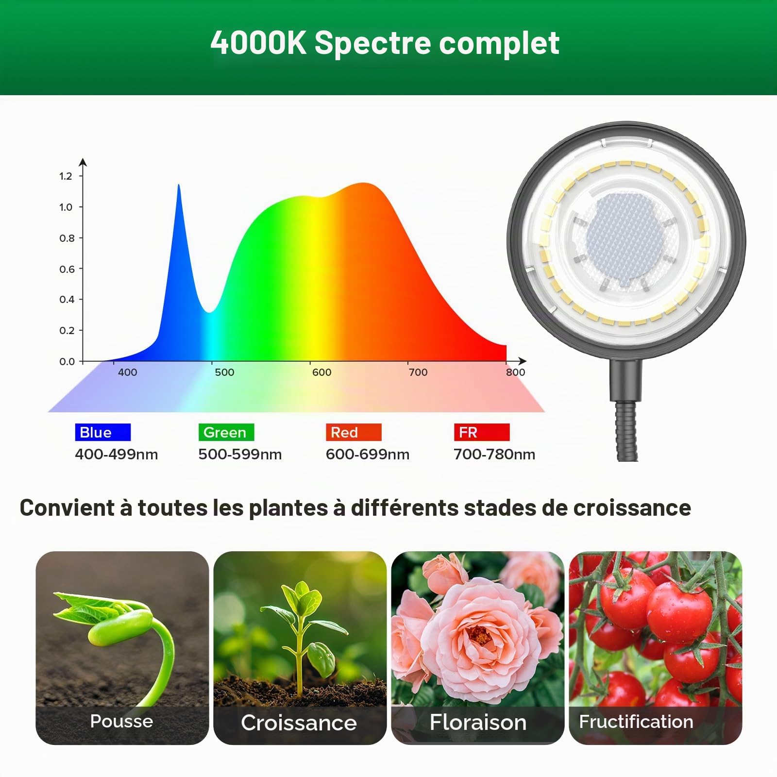 SANSI Lampe de croissance 12W pour plantes d'intérieur, spectre complet, intensité variable, idéale pour les pots de bureau, les plantes grasses et le jardinage d'intérieur, minuterie 3/6/12h
