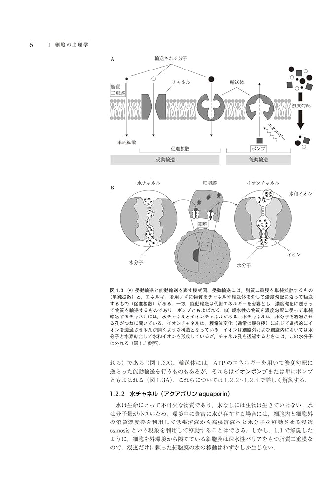 動物の生理学 -分子メカニズムと多様性- | 岡 良隆, 神谷 律