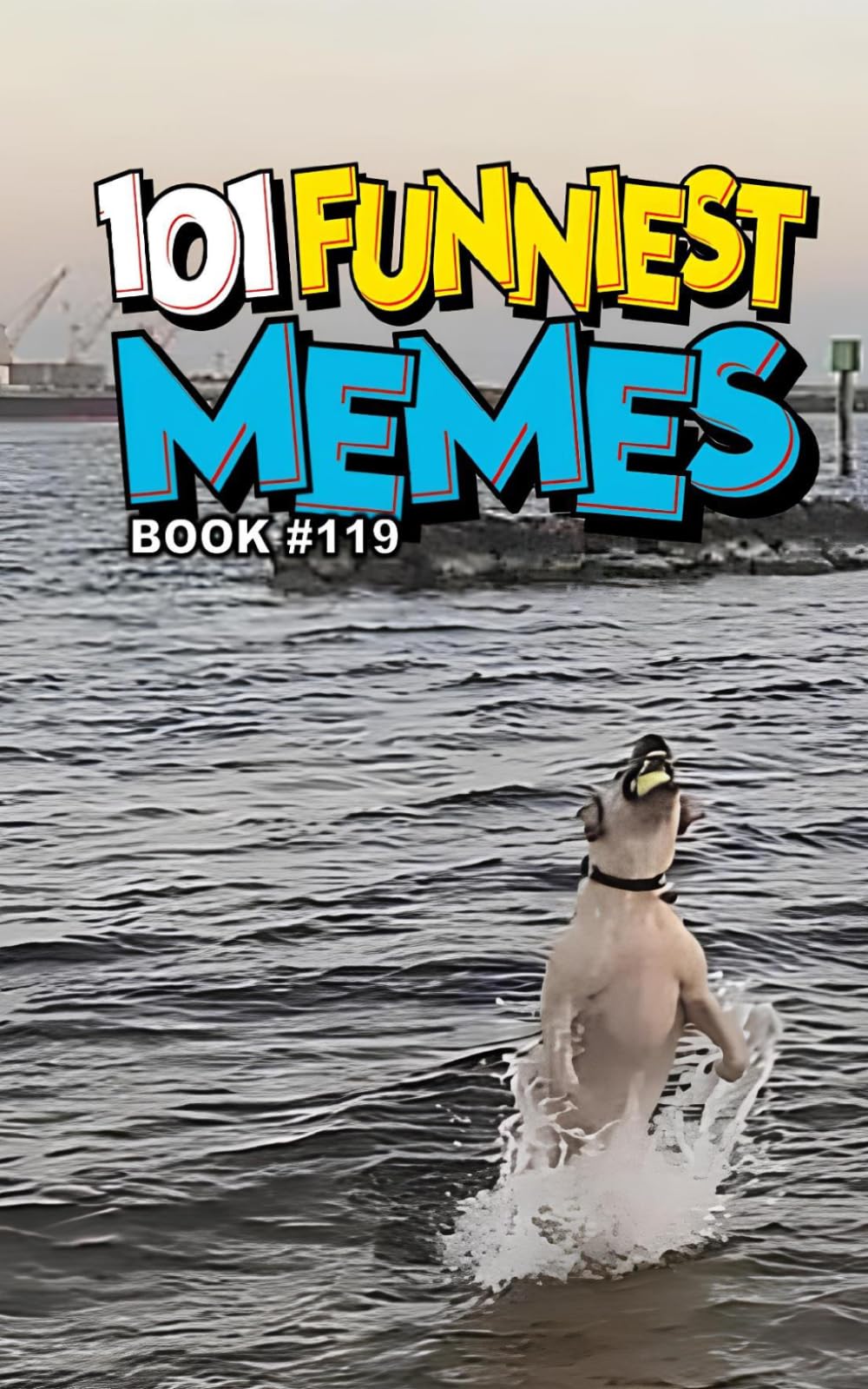 101 FUNNIEST MEMES: BOOK 119