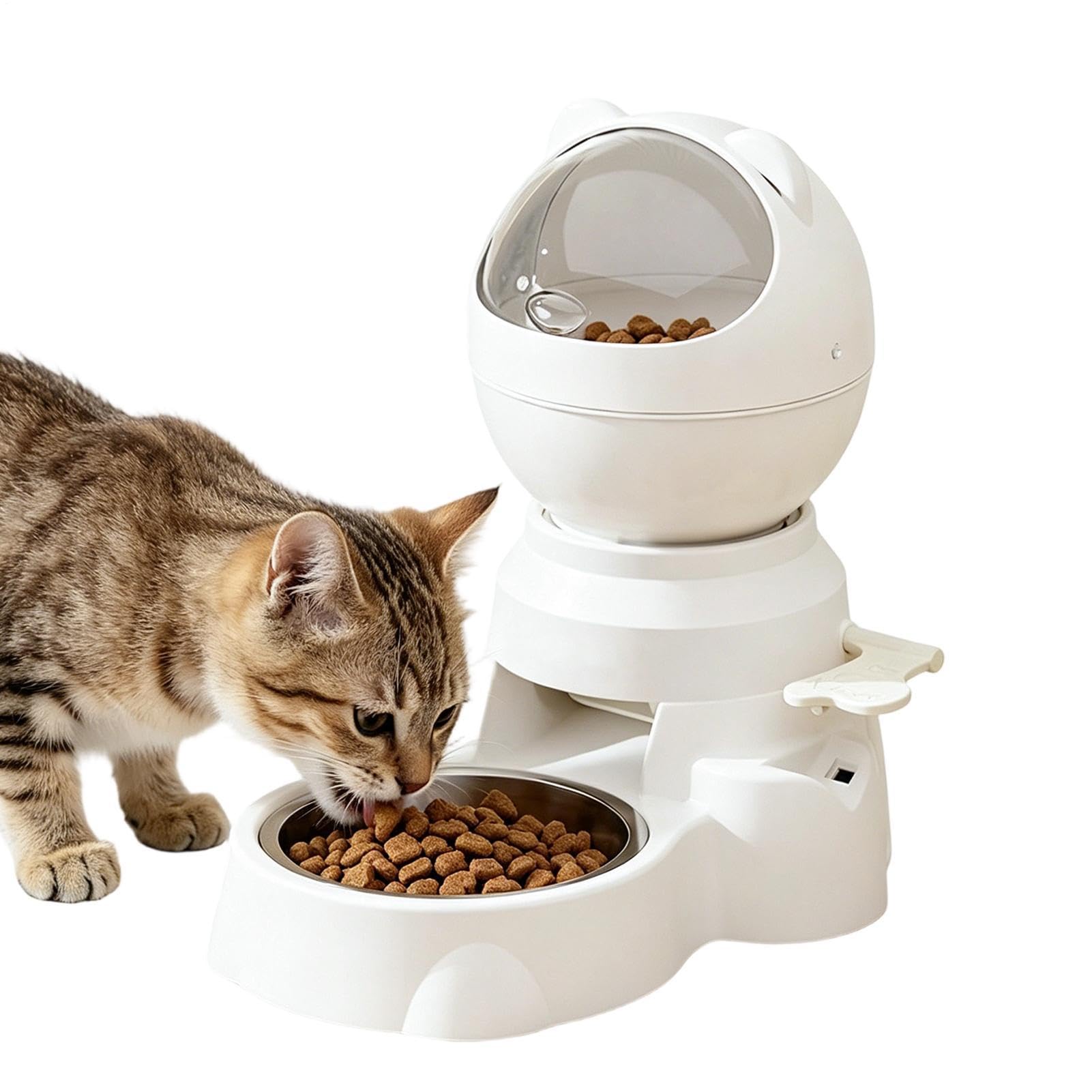 Mangeoire automatique pour animaux idéale pour chiot d'intérieur