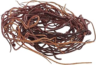 Ipetboom Reptichip Caixa Banyan Barba Recipientes De Vidro Decoração Botânica Animais Da Selva Répteis E Animal De Estimação Tanque Habitat Videiras Lagarto Trepadeira Acessórios Para