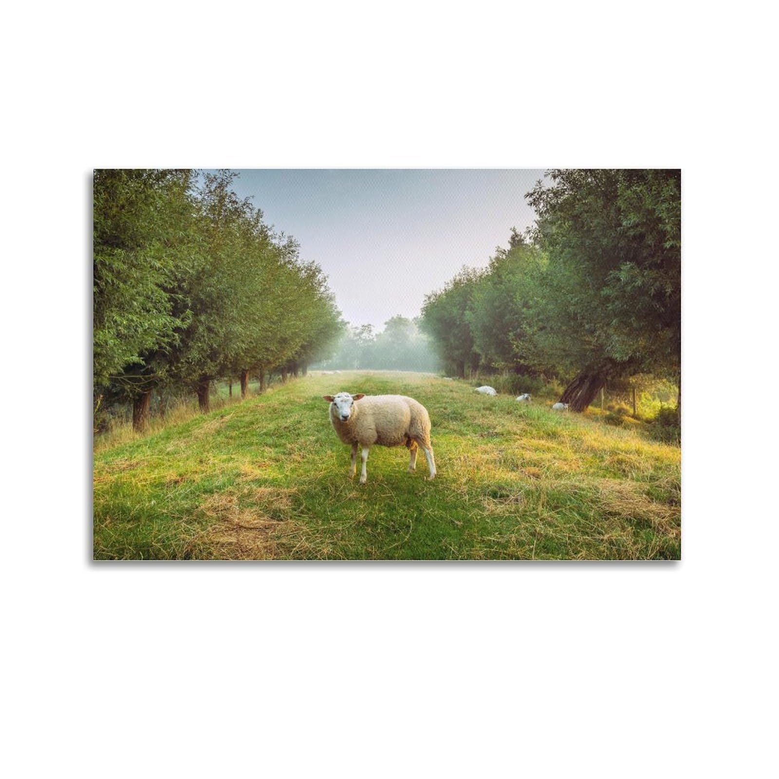 CXHJCA Animal Poster Cute Sheep Poster Decorative Painting Canvas Wall Posters And Art Picture Print Modern Family Bedroom Decor Posters 24x36inch(60x90cm)