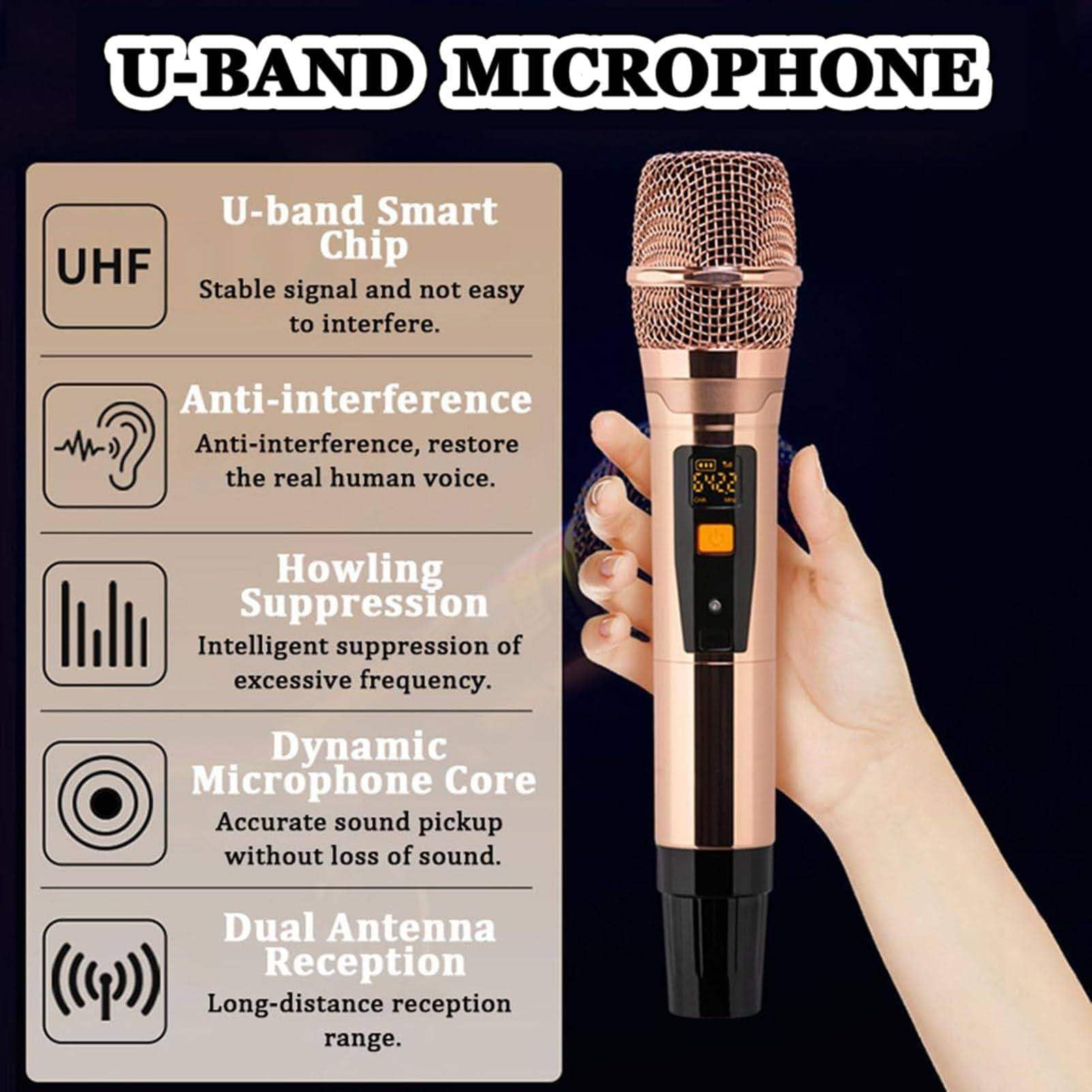 Sistema karaoke portatile con touch screen e microfoni wireless per feste in famiglia, canto e intrattenimento