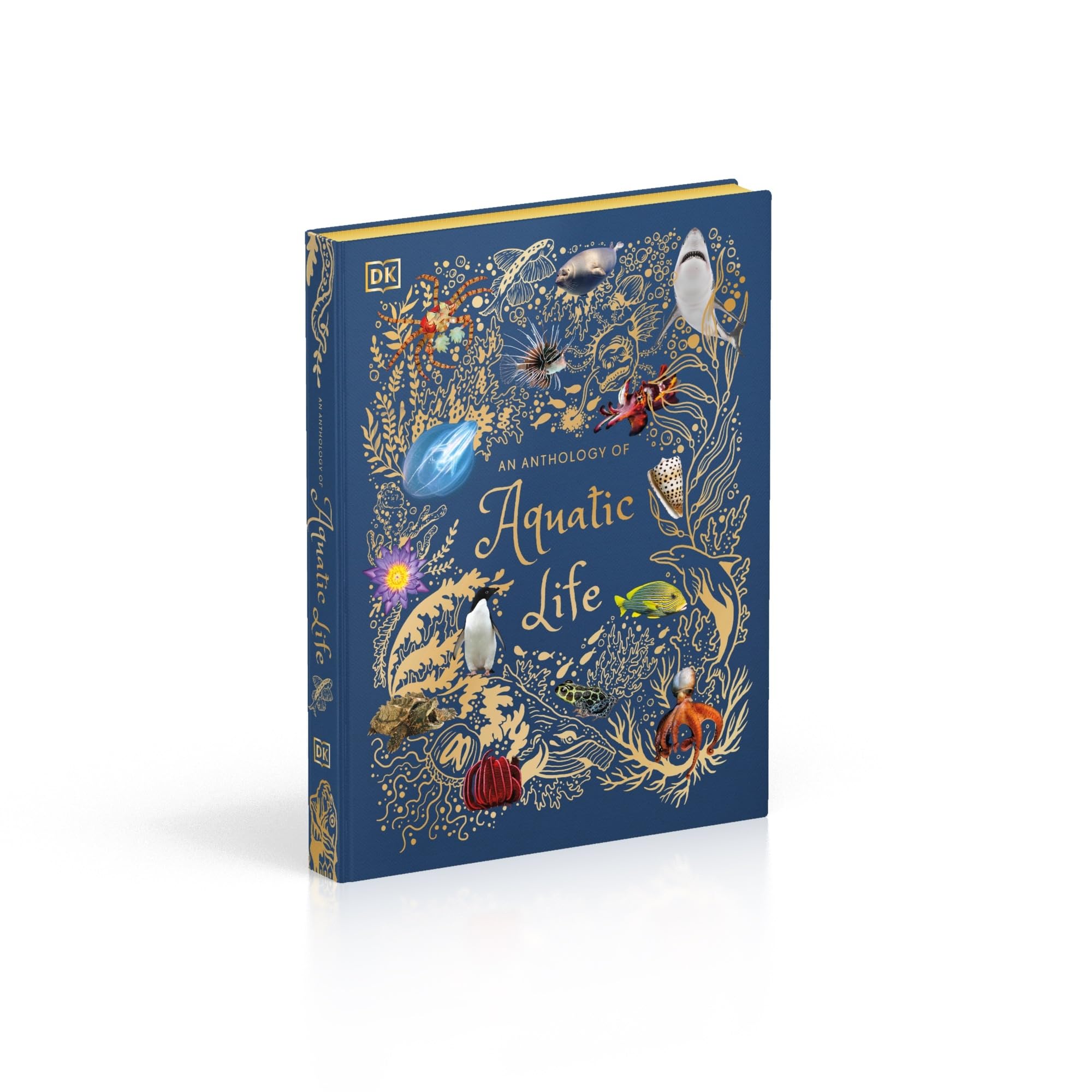 An Anthology of Aquatic Life: Discover the Secret Lives Under the Sea
