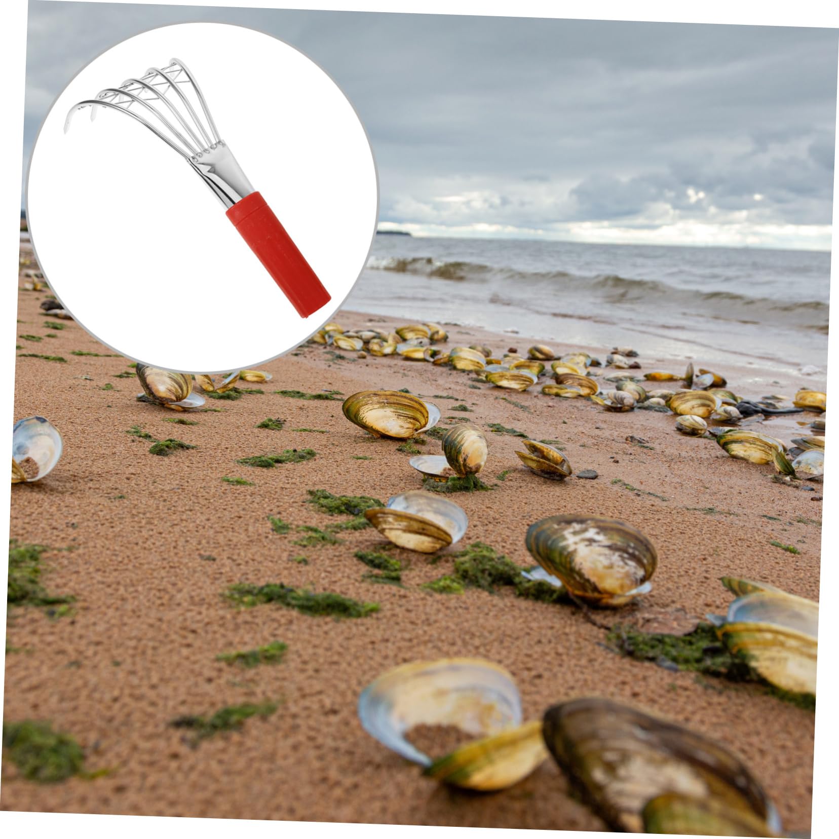 Toyvian 2 Stück Strandrechen für Ergonomischer Muschelrechen Rostfreiem mit Fünf Zähnen Werkzeug zum Muschelsuchen für Einsatz Am Strand