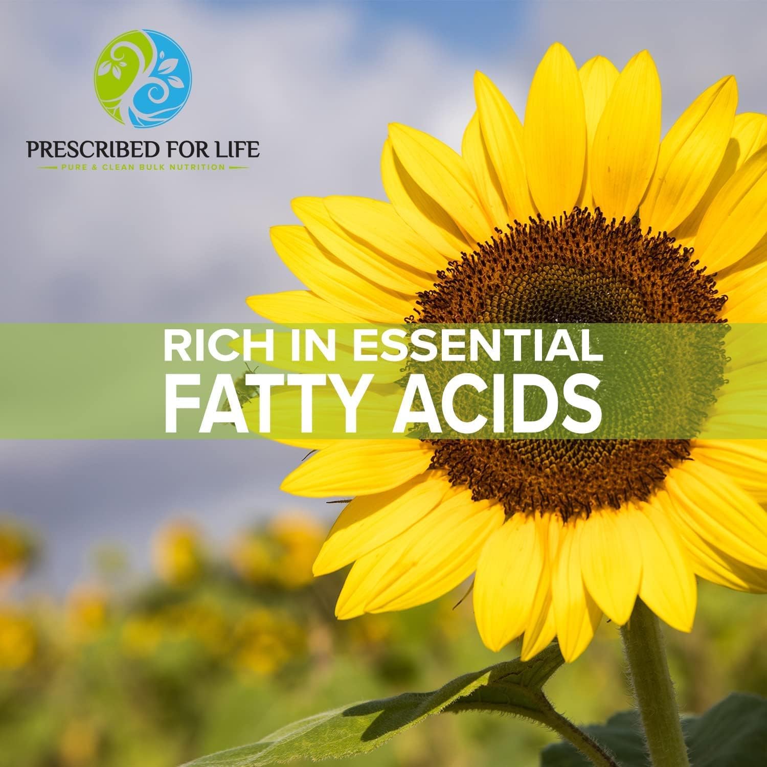 Prescribed For Life Sunflower Lecithin Powder, Unbleached, Gluten Free, Vegan, Non GMO, Soy Free, Kosher, Naturally Rich in Choline & Essential Fatty Acids (12oz / 340g)