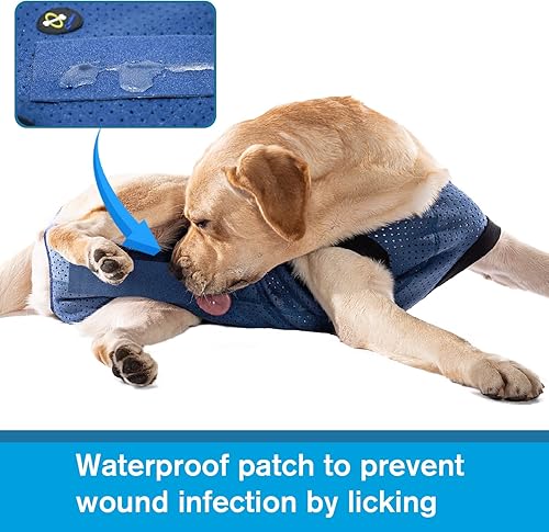 Miniatura 2 de COODEO Traje de recuperación de cirugía para perros, traje de recuperación impermeable para perros, traje de cirugía para proteger heridas,