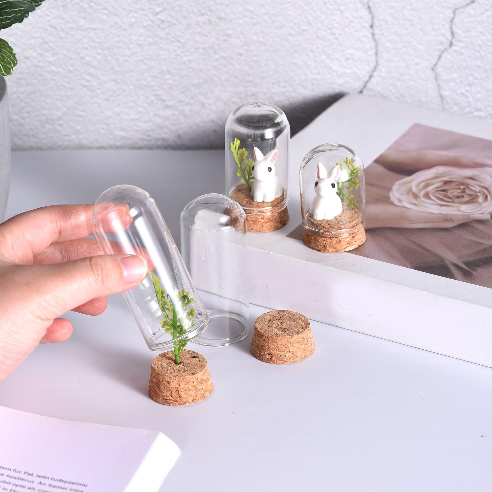 Amazon.co.jp: PATIKIL クリアクロッシュガラスドーム 50個 ガラス