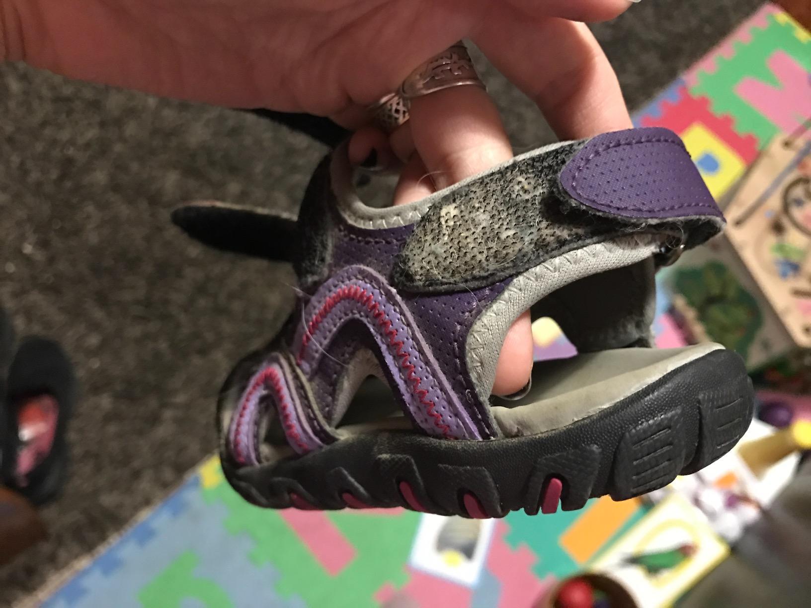 Amazon.com | Kamik Sea Turtle Sandal (Toddler/Little Kid/Big Kid) | Sandals