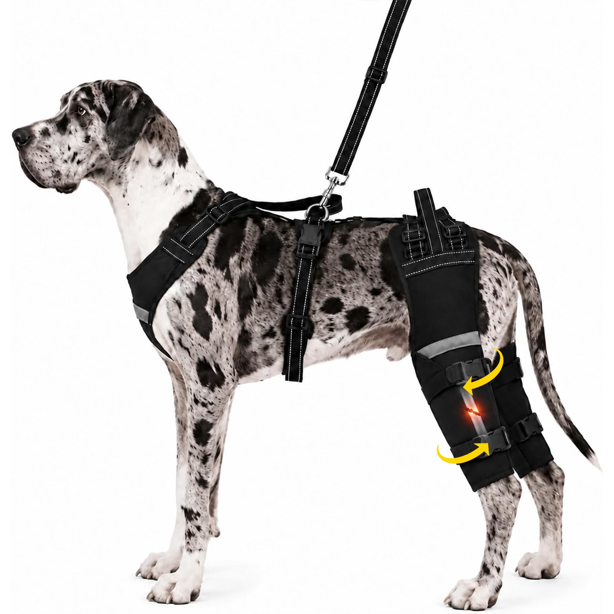 Photo 1 of ALYBIT Dog Hip Support Brace-Adjustable Dog Leg Brace for Back Leg with Lift Strap for Hip Dysplasia Arthritis Pain Relief (XL)