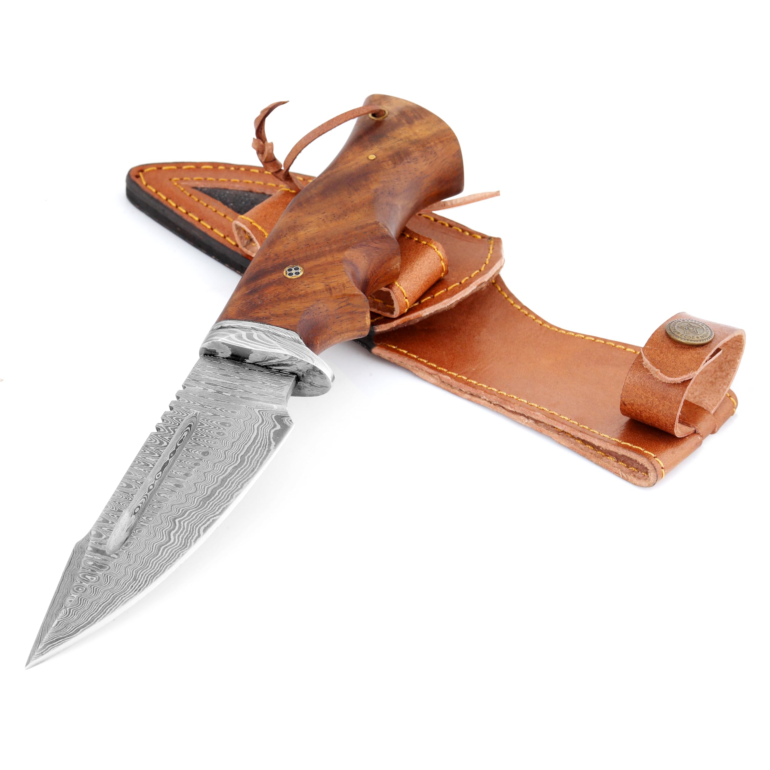 Towering Eagle Damascus Hunting Knife 8 inch Professional Handmade Damascus Stainless Steel Hunting Knife, Superb Edge Retention, Stain & Corrosion Resistant, Ergonomic PAKKA Wood Handle | TE-16