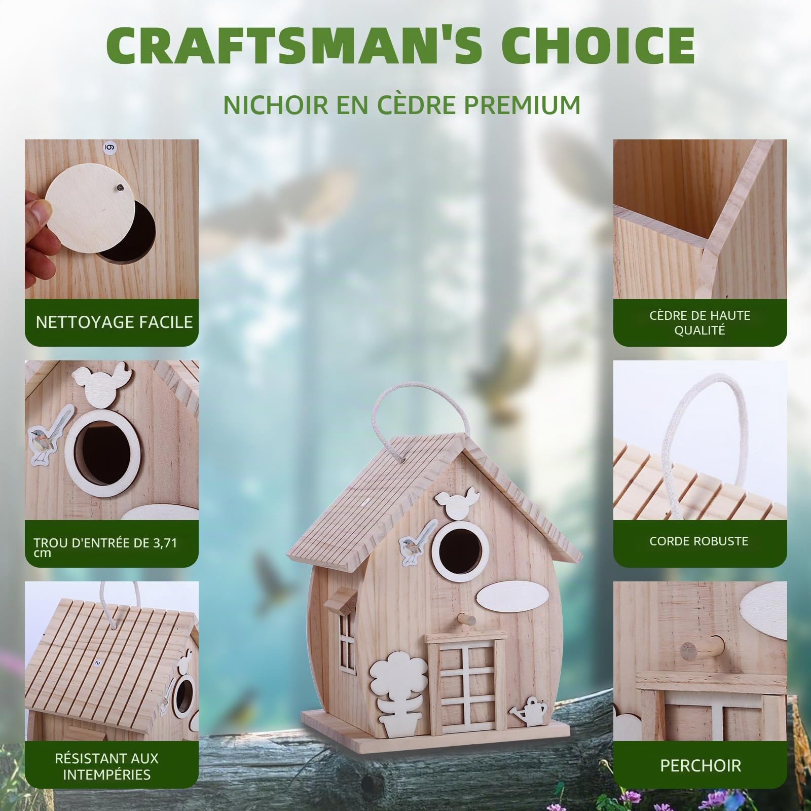 Kit de nichoir en bois à faire soi-même pour adultes à construire, travaux manuels de boiserie extérieure avec peinture freestyle, nichoir suspendu pour la décoration de jardin et de cour - Cadeau
