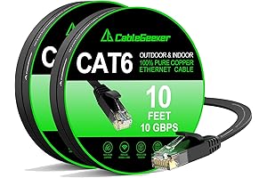 Cat 6 Ethernet Cable 10ft Black: Premium Network Cable