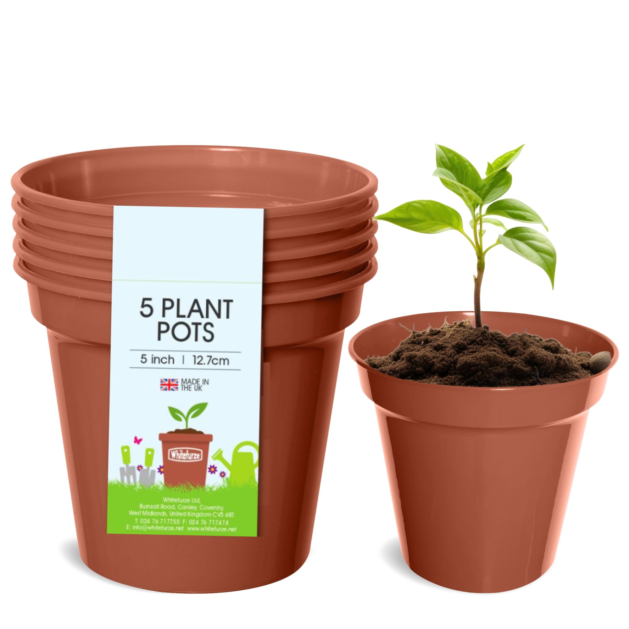 Whitefurze - Basic Plant Pots - Indoor Plant Pots - Flower Pots for Small Plants, Cuttings & Seedlings - Durable Polypropylene Plant Pots for Indoor & Outdoor Use, 15cm Diameter - Set of 3 — view 13