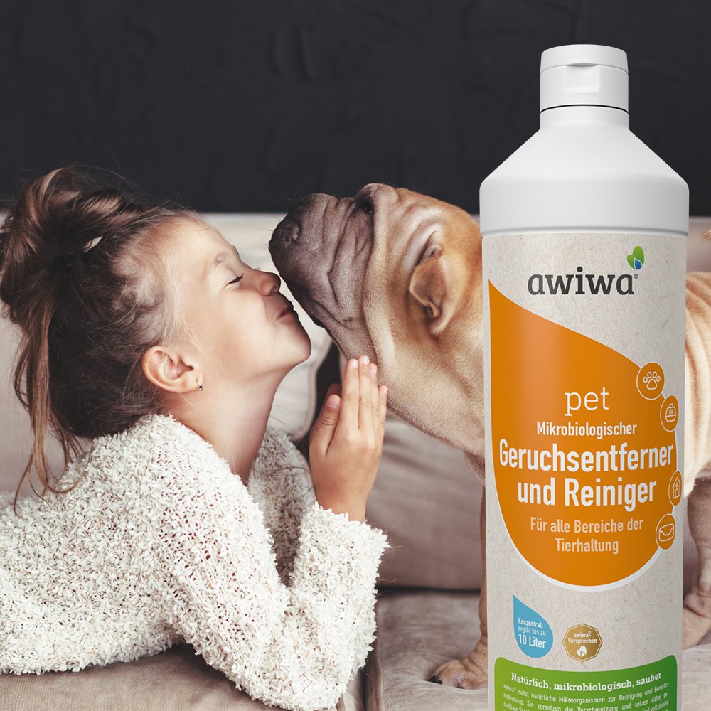 awiwa® pet Mikro­biologischer Tier-Geruchsentferner Konzentrat – gegen Tierurin Geruch & Flecken, für Hund Katze Haustier geruchsneutralisierend (10 Liter)