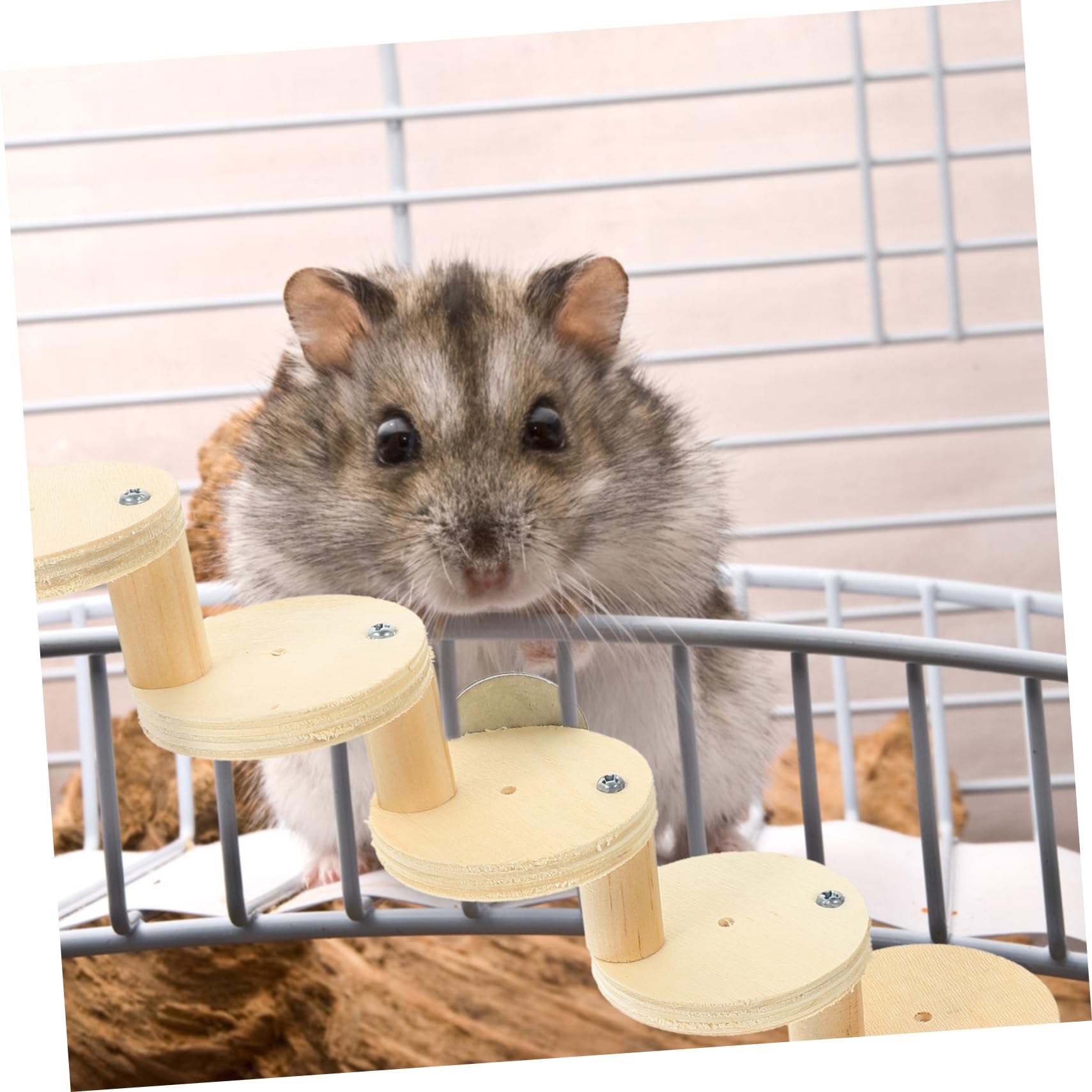 minkissy 3stücke Holzspielzeug Für Hamster Dekorative Leiter Für Kleintiere Sicher Und Geruchsfrei Für Käfige Fördert Spiel Und Neugier Stufiges Design Für Aktiven Spaß